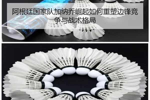 阿根廷国家队加纳乔崛起如何重塑边锋竞争与战术格局